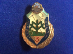 INSIGNA - SPECIALIST DE CLASA-ALPINIST MILITAR-VANATORI DE MUNTE (cifra mare) foto