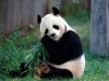Test fdgw 6658q234