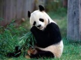 test fdgw 6658q234