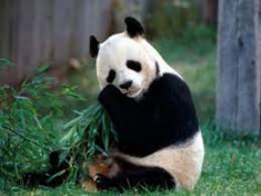 test fdgw 6658q234
