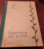 T. BORDEIANU - PEPINIERA DE POMI ( METODE DE ALTOIRE,PORTALTOII POMILOR )