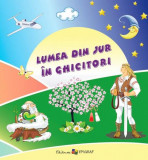 Lumea din jur &icirc;n ghicitori - Hardcover - Ala Bujor - Epigraf