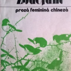 Zbucium. Proza feminina chineza