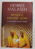 SPATIUL DINTRE NORI - CU RUCSACUL PRIN INDIA de DESIREE HALASEH , 2016
