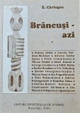 Z. C&acirc;rlugea, Br&acirc;ncuși - azi, 2000