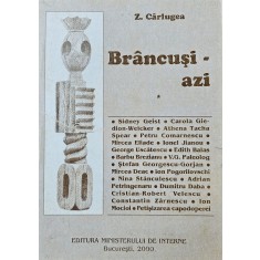 Z. C&acirc;rlugea, Br&acirc;ncuși - azi, 2000