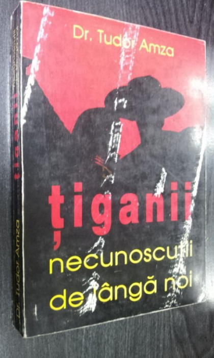 TIGANII NECUNOSCUTI DE LANGA NOI