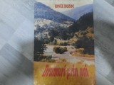 Drumuri prin ani de Ionel Hozoc