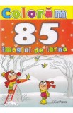 Cumpara ieftin Coloram 85 imagini de iarna