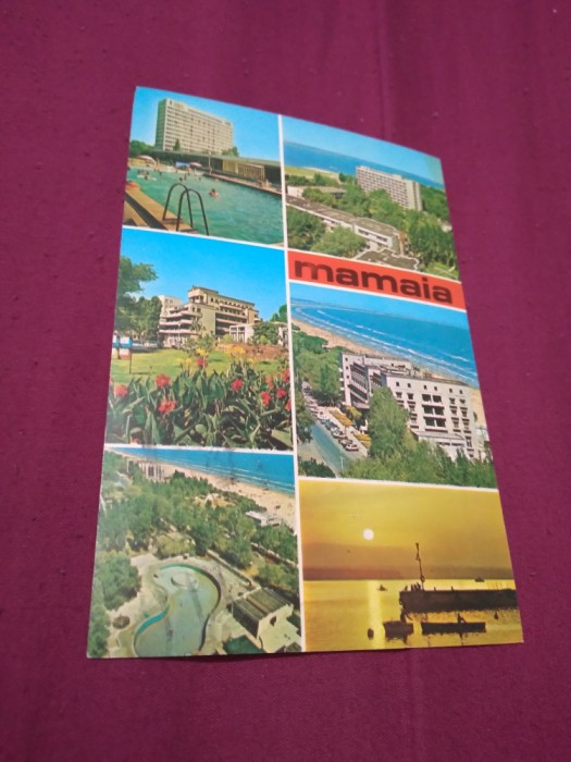 CARTE POSTALA - MAMAIA CIRCULATA