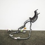 Cablaj ușă dreapta spate TESLA MODEL X 2018 OEM: 1063406-00-F 10038684
