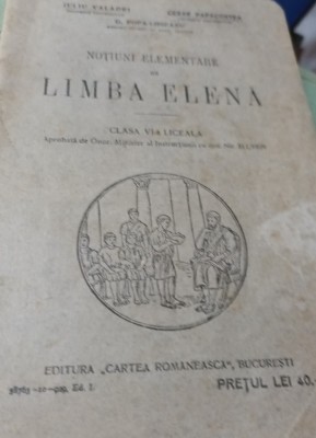 NOTIUNI ELEMENTARE DE LIMBA ELENA CLASA A VI-A foto