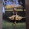 IUBIRI DE ALTADATA-ELIZABETH NOBLE-227143