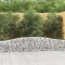 vidaXL Coșuri gabion arcuite 9 buc, 400x30x40/60 cm, fier galvanizat 3145794
