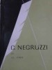 C. Negruzzi - Alexandru Piru (1966, Tineretului) Biografia Autorului Roman