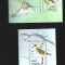 guyana pasari mnh