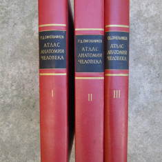 SINELNIKOV - ATLAS DE ANATOMIE UMANA (in limba RUSA) - 3 volume