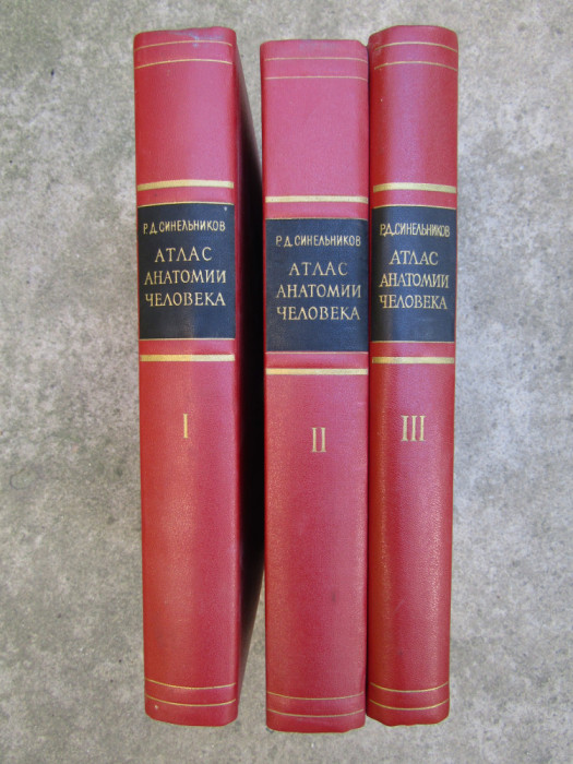 SINELNIKOV - ATLAS DE ANATOMIE UMANA (in limba RUSA) - 3 volume | Okazii.ro