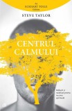 Centrul calmului - Paperback brosat - Steve Taylor - Curtea Veche