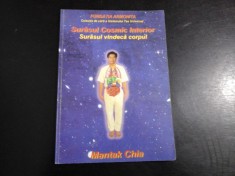 SURASUL COSMIC INTERIOR - SURASUL VINDECA CORPUL - MANTAK CHIA foto
