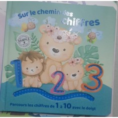 Sur le chemin des chiffres ( Pe calea numerelor - carte in limba franceza )