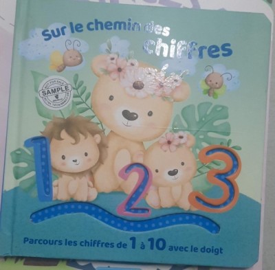 Sur le chemin des chiffres ( Pe calea numerelor - carte in limba franceza ) foto