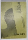 NICAPETRE DESPRE NICAPETRE , FRAGMENTE DIN VOLUMUL ' BRAILITA ' , 2004