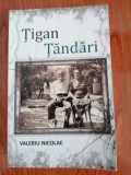 Valeriu Nicolae, Țigan țăndări