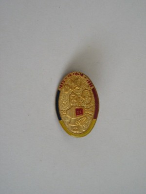 QW9 N2 53 - insigna - militar - 125 ani de la infiintarea armei transmisiuni foto