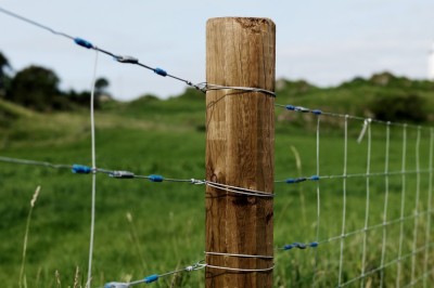 Stalpi din lemn pentru garduri electrice foto