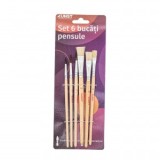 Kunst Set 6 Buc Pensule