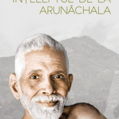 Inteleptul de la Arunachala | Ramana Maharshi, Munagala Venkataramiah