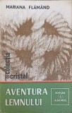 Aventura Lemnului, Mariana Flamand, 1982, Albatros, Carte Constructii, Tehnica, Romana, 151 pagini