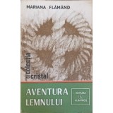 AVENTURA LEMNULUI-MARIANA FLAMAND-240220
