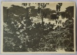 Carte postala, Scoala Centrala de Fete din Bucuresti. Gradina mare, perioada interbelica