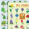 Plan?a - Copaci ?i flori