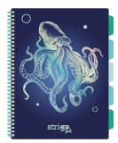 Caiet cu Spirala si Separatoare Strigo Pads Project Book CARACATITA A4, Matematica, Navy Blue