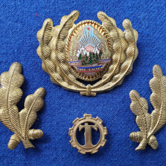 Insigna Militara Ofiter TEHNIC - Coifura insemn cascheta SEMN DE ARMA RSR 1970