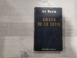 Umbra de la Cozia de Ion Maxim