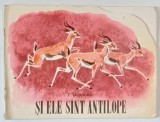 SI ELE SINT ANTILOPE , ilustratii de A. KELEINIKOV , de I. AKIMUSKIN * COPERTA FATA DECUPATA