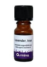 Ulei Esential de Lavanda Bio Armina 10ml Cod: 3800500014845 foto