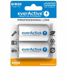 Acumulator Everactive R20 D Professional Line 10000 mAh 2 Bucati / Set foto