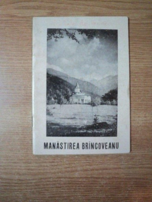 MANASTIREA BRANCOVEANU de VENIAMIN TOHANEANU foto