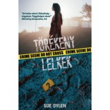 T&ouml;r&eacute;keny lelkek - Sue Dylen