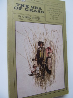 The sea of grass - Corad Richter foto