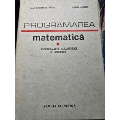 Programarea matematica. Programarea parametrica si neliniara - Gheorghe Mihoc