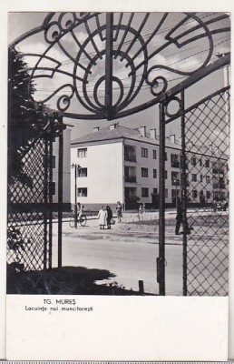 bnk cp Targu Mures - Locuinte noi muncitoresti - uzata foto