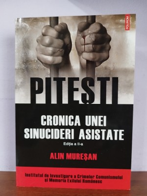 Alin Muresan &amp;ndash; Pitesti Cronica unei sinucideri asistate foto