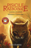 Pisicile razboinice Vol. 31 - Viziunea din umbre.Misiunea Ucenicului - Grupul All