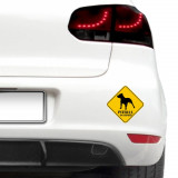 Cumpara ieftin Sticker auto - Pitbull